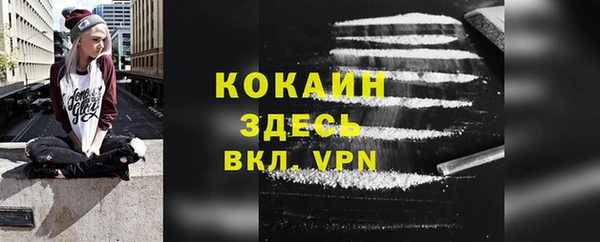 Альфа ПВП Богородск