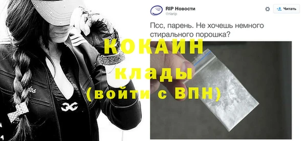 крисы Богородицк