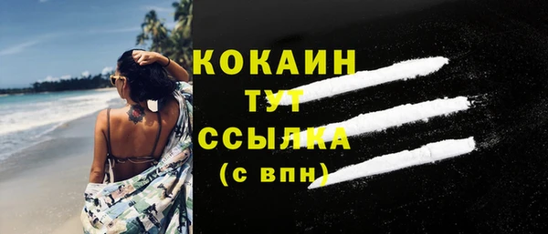крисы Богородицк