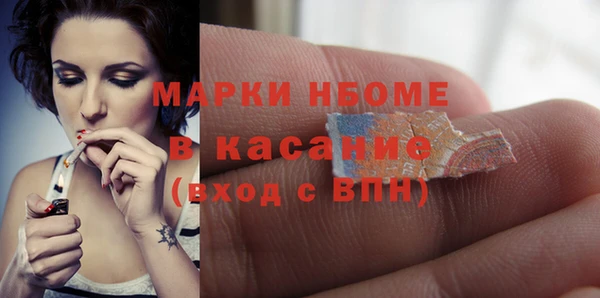 крисы Богородицк