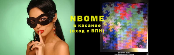 крисы Богородицк