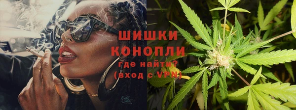крисы Богородицк