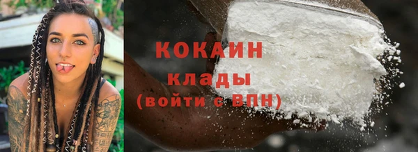 крисы Богородицк