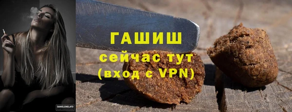 крисы Богородицк