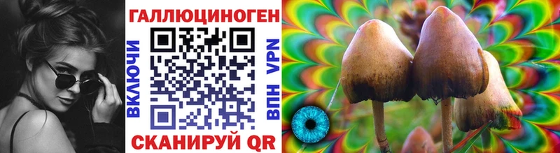 Купить  Кяхта  Галлюциногенные грибы MAGIC MUSHROOMS 